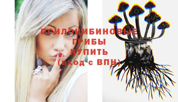 дживик Богданович