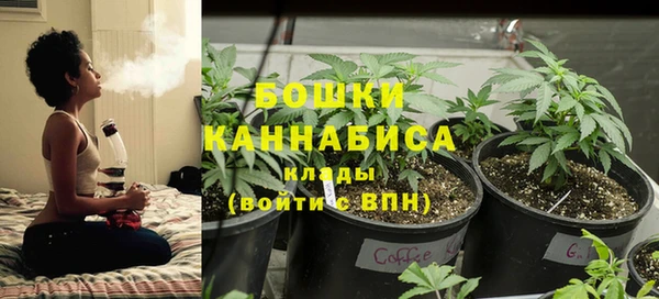 дживик Богданович