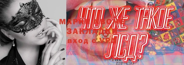 дживик Богданович