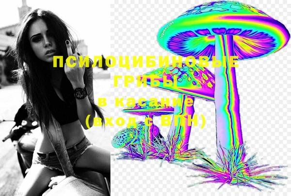 твердый Богородицк