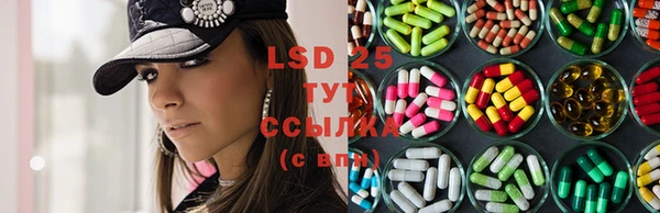 ПСИЛОЦИБИНОВЫЕ ГРИБЫ Белокуриха